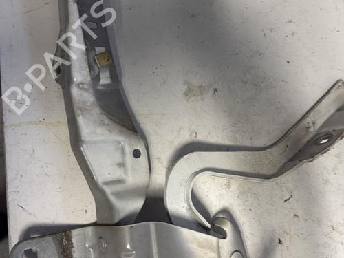 Hinge/Door check strap RENAULT CLIO IV (BH_) 1.5 dCi 75 | BP22596739C146 