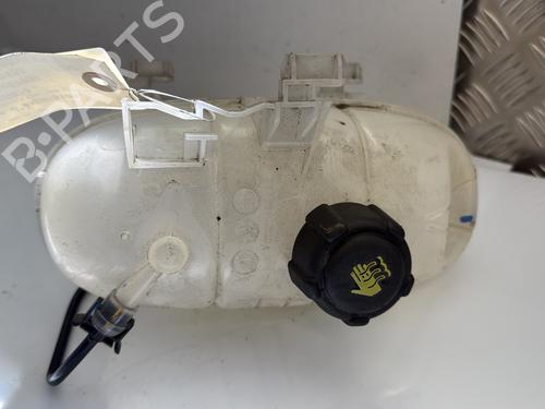 Expansion tank RENAULT TRAFIC III Van (FG_) 1.6 dCi 125 (FGMH) | BP25032749C120