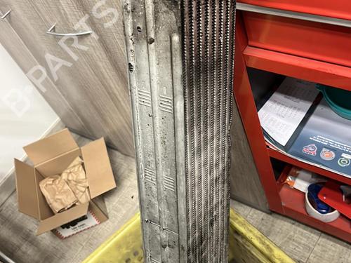 Used Intercooler RENAULT MEGANE III Hatchback (BZ0/1_, B3_) 1.5 dCi (86 hp) 21341038