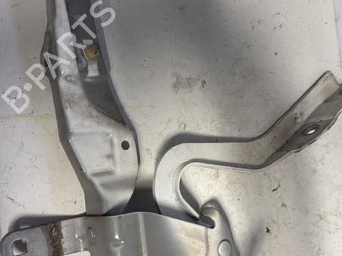 Used Hinge/Door check strap RENAULT CLIO IV (BH_) 1.5 dCi 75 (75 hp) 22596739