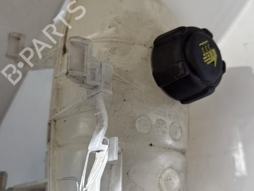 Expansion tank RENAULT TRAFIC III Van (FG_) 1.6 dCi 125 (FGMH) | BP25032749C120