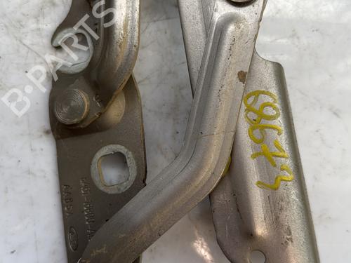 Hinge/Door check strap FORD FIESTA VI (CB1, CCN) 1.0 EcoBoost | BP24646300C146 