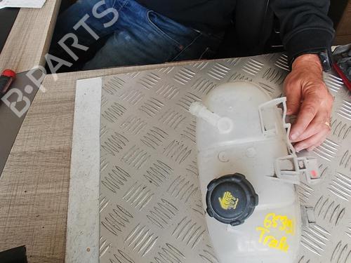 Expansion tank RENAULT TRAFIC III Van (FG_) 1.6 dCi 120 (FGMB, FGMC) | BP21332580C120 