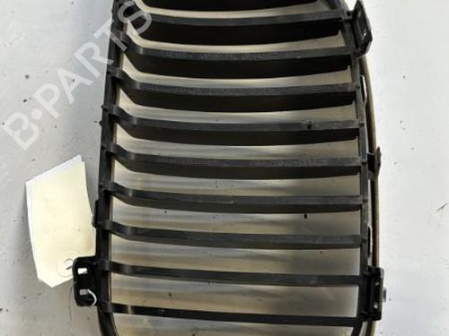 Used Grille BMW 1 (E87) 118 d (122 hp) 21357547