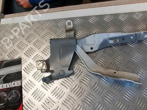 Hinge/Door check strap RENAULT CLIO IV (BH_) 1.5 dCi 75 | BP21332646C146 