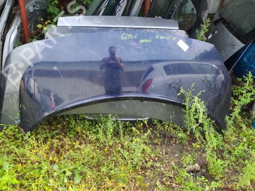 Hood RENAULT GRAND SCÉNIC II (JM0/1_) 2.0 dCi (JM1K) | BP21342139C1 