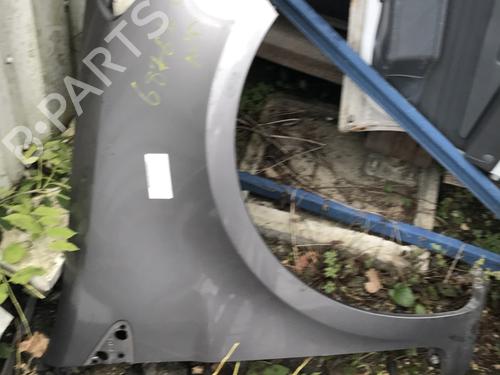 Right front fenders RENAULT CLIO III (BR0/1, CR0/1) 1.5 dCi (BR17, CR17) | BP21848447C42 