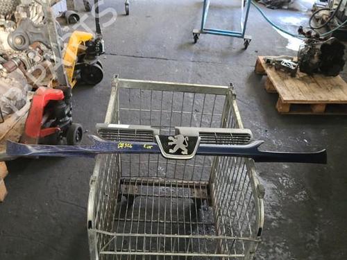 Used Grille PEUGEOT 206 Hatchback (2A/C) 1.4 HDi eco 70 (68 hp) 21349620