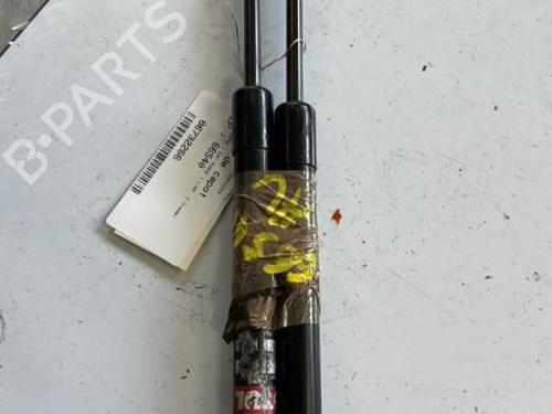 Hood lift support BMW 1 (E87) 118 d | BP21848049C139 