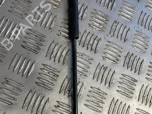 Used Hood lift support VW GOLF IV (1J1) 1.6 (100 hp) 21846478