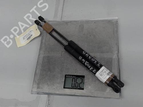 Tailgate lift support VW GOLF VI (5K1) 1.2 TSI | BP21290666C138 