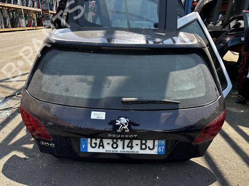 Tailgate PEUGEOT 308 II (LB_, LP_, LW_, LH_, L3_) 1.2 VTi 72 | BP21318203C6