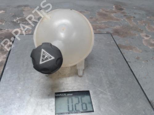 Expansion tank CITROËN C4 II (NC_) 1.6 HDi 90 | BP21308391C120 
