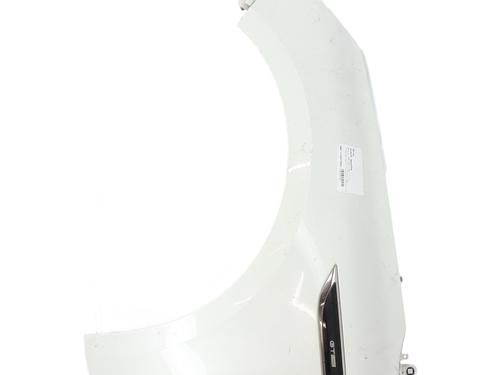 Błotnik przedni lewy RENAULT MEGANE IV Hatchback (B9A/M/N_) 1.6 dCi 130 (B9A4) | BP29869224C41 