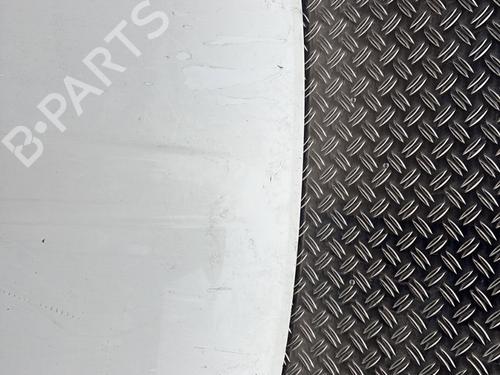 Hood FIAT 500 (312_) 1.3 D Multijet (312AXB1A) | BP30114998C1 