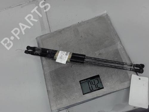 Tailgate lift support FIAT GRANDE PUNTO (199_) 1.2 | BP21365475C138 