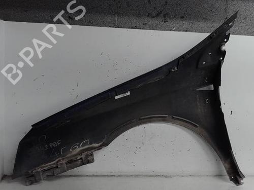 Right front fenders RENAULT VEL SATIS (BJ0_) 2.2 dCi (BJ0E, BJ0F) | BP21314421C42 