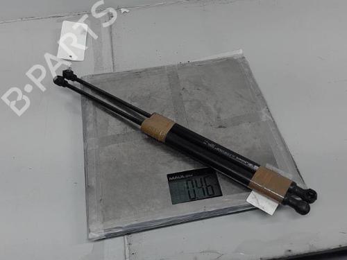 Hood lift support RENAULT SCÉNIC III (JZ0/1_) 1.6 dCi (JZ00, JZ12) | BP21368017C139 