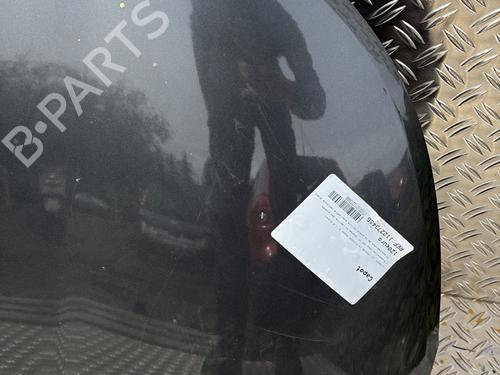 Hood CITROËN C3 Picasso (SH_) 1.6 HDI 90 | BP29073110C1 