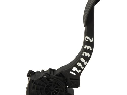 Pedal Pedal 21318899 21318899