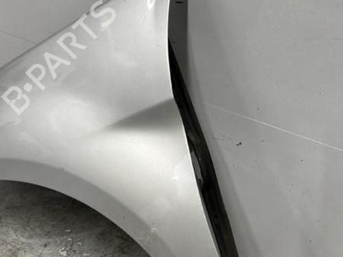 Left front fenders MERCEDES-BENZ B-CLASS Sports Tourer (W245) B 200 CDI (245.208) | BP24221433C41