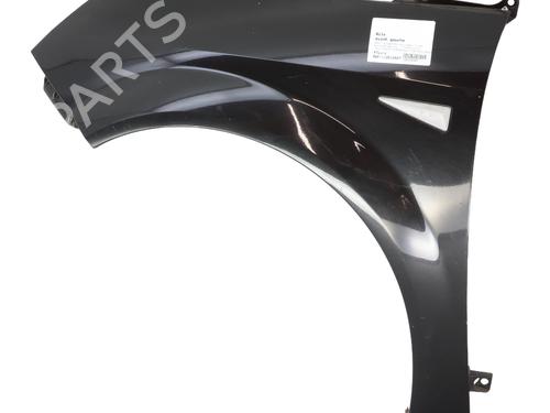 Used Left front fenders RENAULT GRAND SCÉNIC II (JM0/1_) 2.0 dCi (JM1K) (150 hp) 29252822