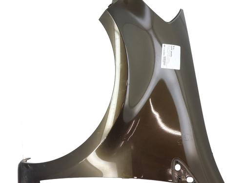 Used Left front fenders RENAULT CLIO III (BR0/1, CR0/1) 1.6 16V (BR09, BR0T, CR09, CR0T) (88 hp) 29502389