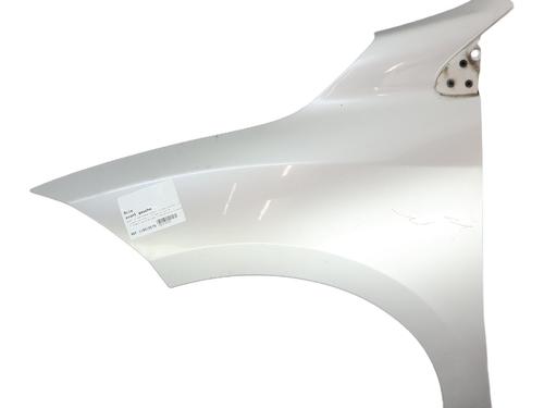 Left front fenders RENAULT MEGANE III Hatchback (BZ0/1_, B3_) 1.5 dCi (BZ0C) | BP31754516C41