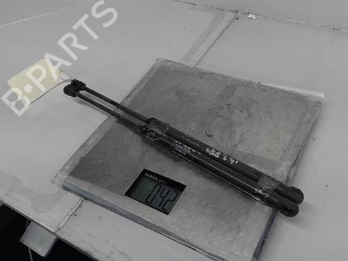 Tailgate lift support CITROËN C3 I (FC_, FN_) 1.4 HDi | BP21365303C138 
