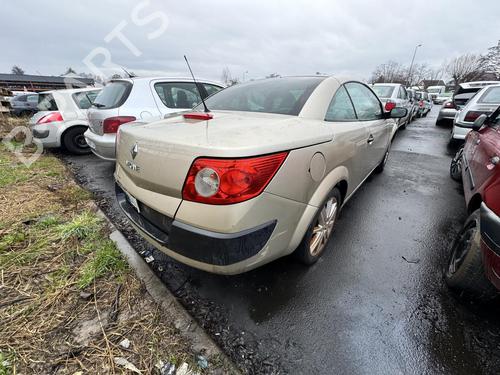 Left front fenders RENAULT MEGANE II Coupé-Cabriolet (EM0/1_) 1.6 | BP21308616C41 