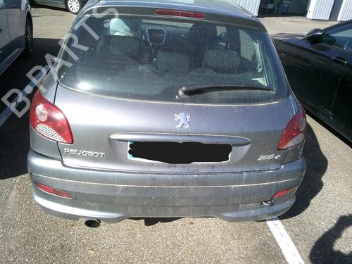Right front door PEUGEOT 206+ (2L_, 2M_) 1.4 HDi eco 70 | BP21293167C3 