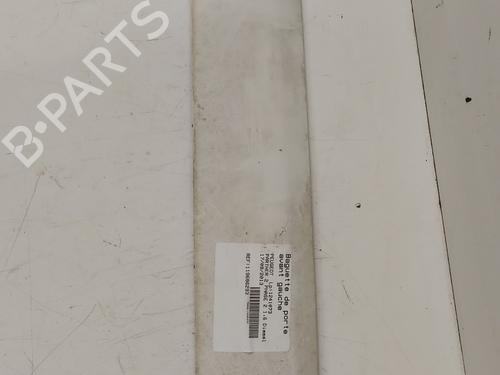door-moulding-trim-peugeot-partner-box-bodympv-2008-32114787 main image