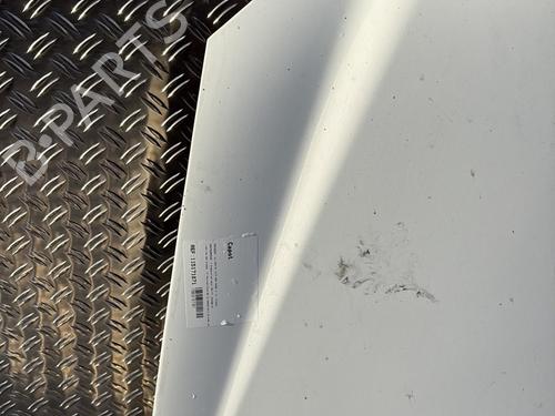Capot Capot MERCEDES-BENZ VITO / MIXTO Van (W639) 110 CDI (639.601, 639.603, 639.605) (95 hp) 30162930 30162930