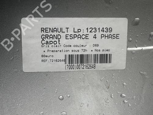 Used Hood RENAULT ESPACE IV (JK0/1_) 2.0 dCi (JK01, JK02, JK1J, JK1K, JK1H) (150 hp) 21320856