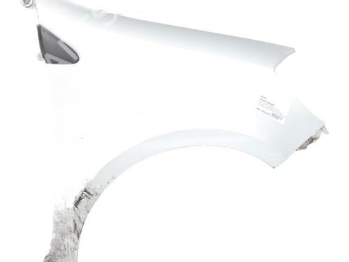 Used Left front fenders RENAULT CLIO III (BR0/1, CR0/1) 1.5 dCi (BR17, CR17) (86 hp) 30492132