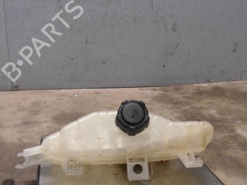 Expansion tank RENAULT CLIO III (BR0/1, CR0/1) 1.5 dCi (BR17, CR17) | BP21368675C120 
