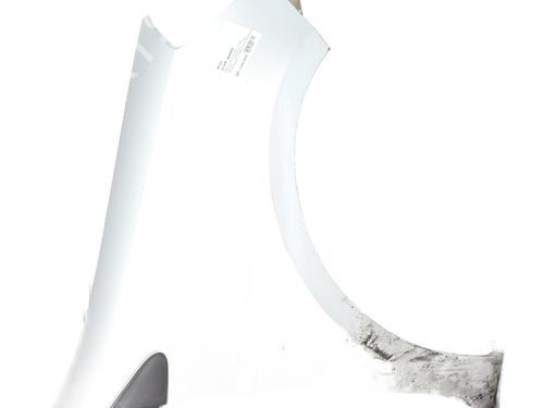 Forskærm venstre RENAULT CLIO III (BR0/1, CR0/1) 1.5 dCi (BR17, CR17) (86 hp) 30492132