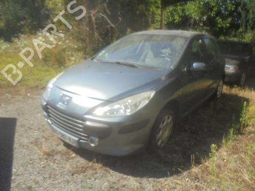 Hood PEUGEOT 307 (3A/C) 1.6 HDi | BP21299338C1 