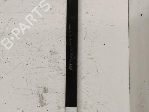 door-moulding-trim-audi-a4-b6-avant-8e5-2000-2001-2002-2003-2004-2005-32231722 main image