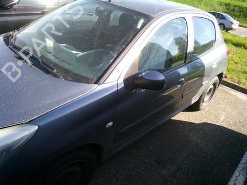 Right front door PEUGEOT 206+ (2L_, 2M_) 1.4 HDi eco 70 | BP21293167C3 