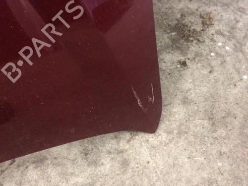 Capot Capot FIAT CROMA (194_) 1.9 D Multijet (115 hp) 21300203 21300203