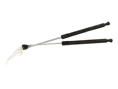 tailgate-lift-support-renault-clio-iii-br01-cr01-2005-2006-2007-2008-2009-2010-2011-2012-2013-2014-31019348 main image