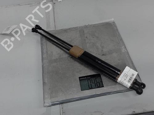 Hood lift support RENAULT SCÉNIC III (JZ0/1_) 1.6 dCi (JZ00, JZ12) | BP21368017C139 
