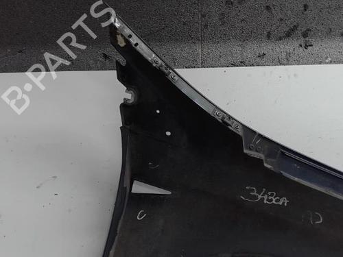 Left front fenders RENAULT VEL SATIS (BJ0_) 2.2 dCi (BJ0E, BJ0F) | BP21314420C41 