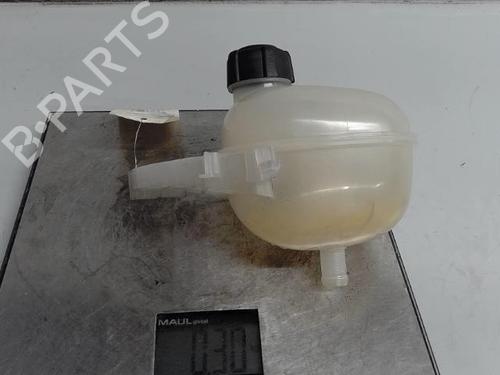 Expansion tank RENAULT TWINGO III (BCM_, BCA_) 1.0 SCe 75 | BP21291456C120 