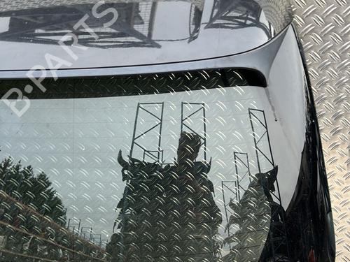 Bagklap CC/Kombi-Coupé BMW X5 (E70) xDrive 30 d | BP29612991C6 