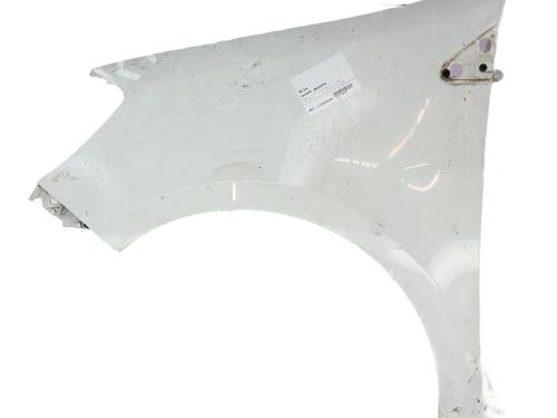 Used Left front fenders RENAULT CLIO III (BR0/1, CR0/1) 1.2 16V Hi-Flex (BR1U, CR1U) (75 hp) 30482839