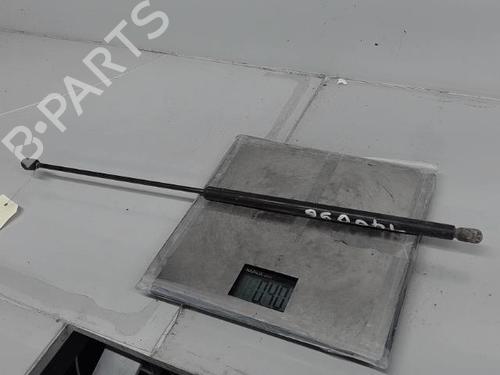 Used Hood lift support MERCEDES-BENZ S-CLASS (W220, V220) S 320 CDI (220.026, 220.126) (197 hp) 21365428