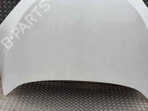 Used Hood RENAULT MEGANE CC (EZ0/1_) 1.9 dCi (EZ0J, EZ1S) (131 hp) 29509534