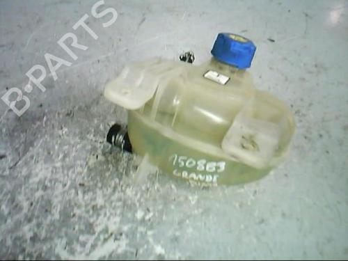 Used Expansion tank FIAT GRANDE PUNTO (199_) 1.2 (65 hp) 21367054
